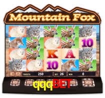 qqqbet